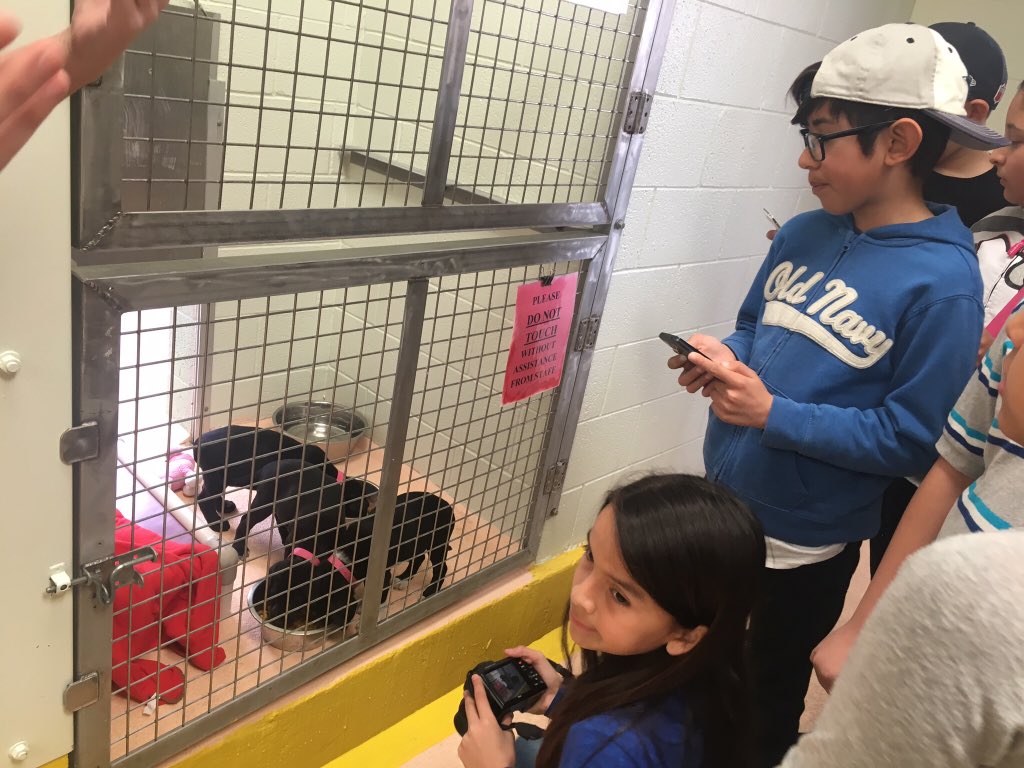 ctorres_VDS's tweet photo. VDS' D. I. team donating check to the Humane Society of EP. Thank you Eagles for donating to a great cause #proudtobeaneagle #TeamSISD https://t.co/TRKZQHlSc5