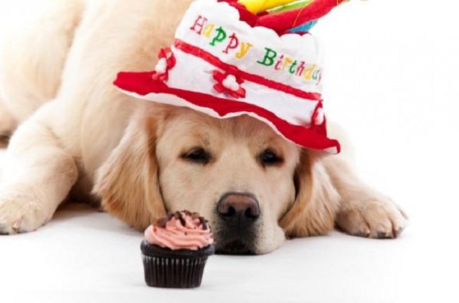  Happy Birthday,Clint.Hope it was the  Best. 