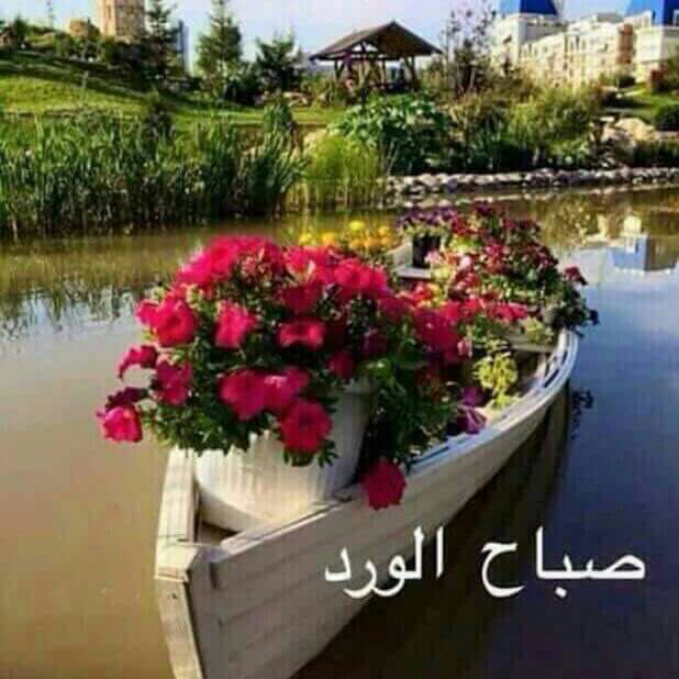 @wl2B9gGlGa3PRLp