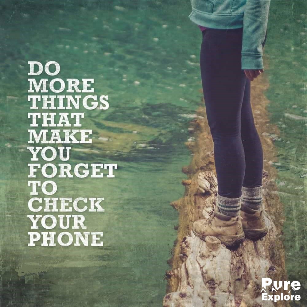 Pure Explore tweet media