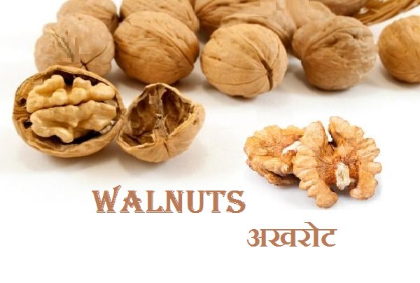 lifestylehindi's tweet photo. अखरोट के लाभकारी फ़ायदे -
https://t.co/prBZYCH9bv
#BenefitsofWalnuts
#Walnuts
#BenefitsofHindi
#HealthTips
#Health https://t.co/hMu4qP1NU4
