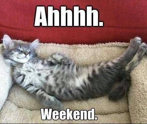 GreetingCardApp's tweet photo. AHHHH THE WEEKEND! #weekend #happyweekend #sharethelove #greetingcardsapp Download FREE Greeting Cards! 👉https://t.co/pFYezAC8aR https://t.co/bEsQMQUmNu