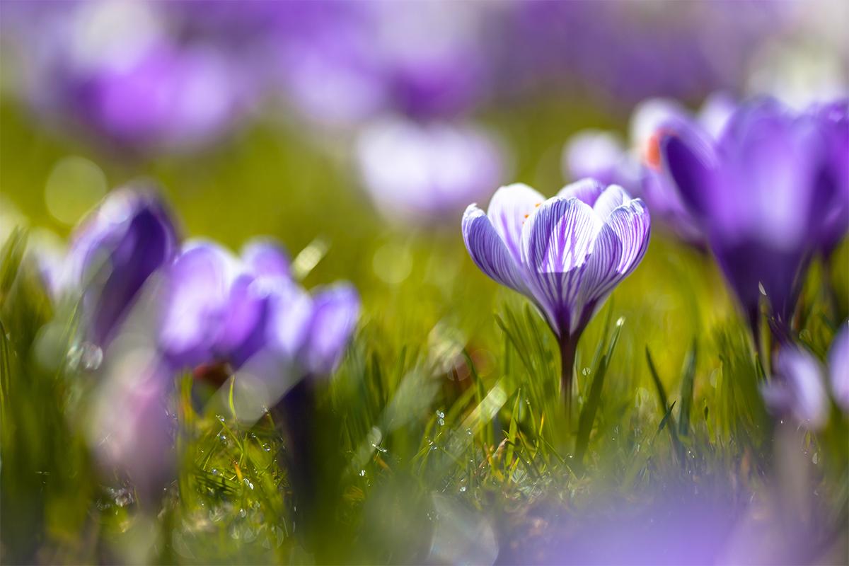 Lekker weg in de voorjaarsvakantie?
Bekijk hier ons aanbod: goo.gl/9mGsyi