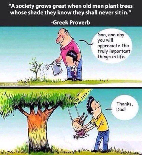 docandrewmurray's tweet photo. A society grows when old men plant trees whose shade they will never shelter under https://t.co/2ij079BMyj