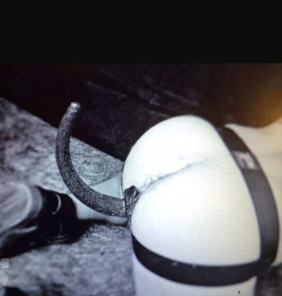 ZyanyaThePooch's tweet photo. #Woofwoof this human's butt is confusing, any pooch willing to sniff? #PuppyPlay #Fetish #TailButtPlugg #RolePlay #Kinky #GoodPupNaughtyMan https://t.co/yxMB55yzzU
