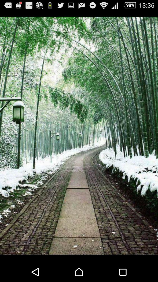 h6o35's tweet photo. @nikenmar @noemicurril @lizze64 @Cantero9Vega @Levita413Sol @eclectica8 @a_zicc @ptrFUN @gumerealmadrid @RizzoGigirz58 @cubaenesena おはよう https://t.co/Cj1Z91yPnY