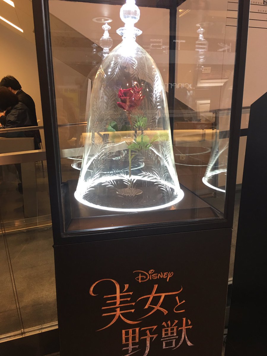ちゑ 映画館に美女と野獣フライヤーと薔薇が飾ってありました 本当に楽しみな映画です エマ可愛いなぁ 美女と野獣 ディズニー 実写化映画 ちゑ 映画館に美女と野獣フライヤーと薔薇が飾ってありました 本当に楽しみな映画です エマ可愛いなぁ 美女と野獣 ディズニー 実写化映画