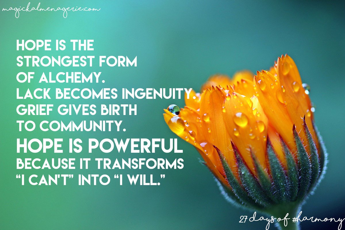 MagickMenagerie's tweet photo. #Hope is #ALCHEMY Let #magick transform your life this year!!! #witch #paganism #wicca #spirituality #inspiration  https://t.co/nO1n3eyt4U https://t.co/rQstJ9f0Lm