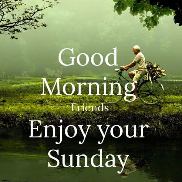 Easy like go. Good morning Happy Sunday. Sunday morning. Enjoy your Sunday. Easy like Sunday morning.