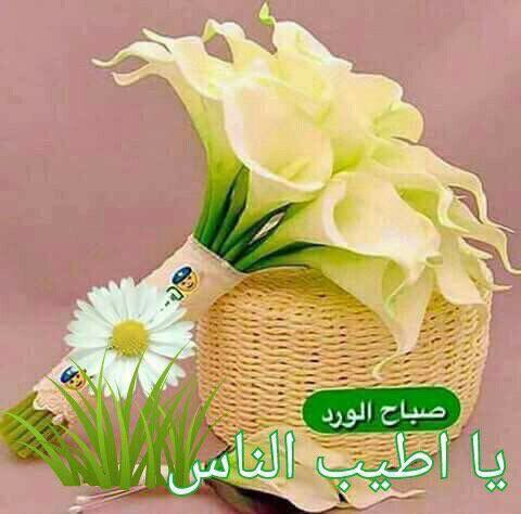 ragda281 tweet picture