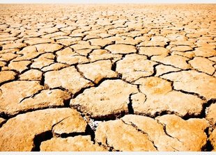 escqu's tweet photo. 92% of GCC millennials worry about climate change https://t.co/z4y0OqHOTa via @CWMiddleEast https://t.co/BSG5adk40t