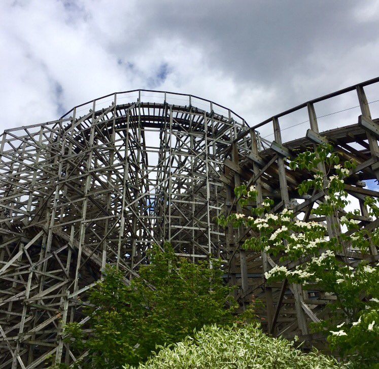 WildWavesPark's tweet photo. Gray, gray, go away - we want to #rideandslide all day! π’π #WildWaves #SummerDreamin https://t.co/gnlVbAWxzs