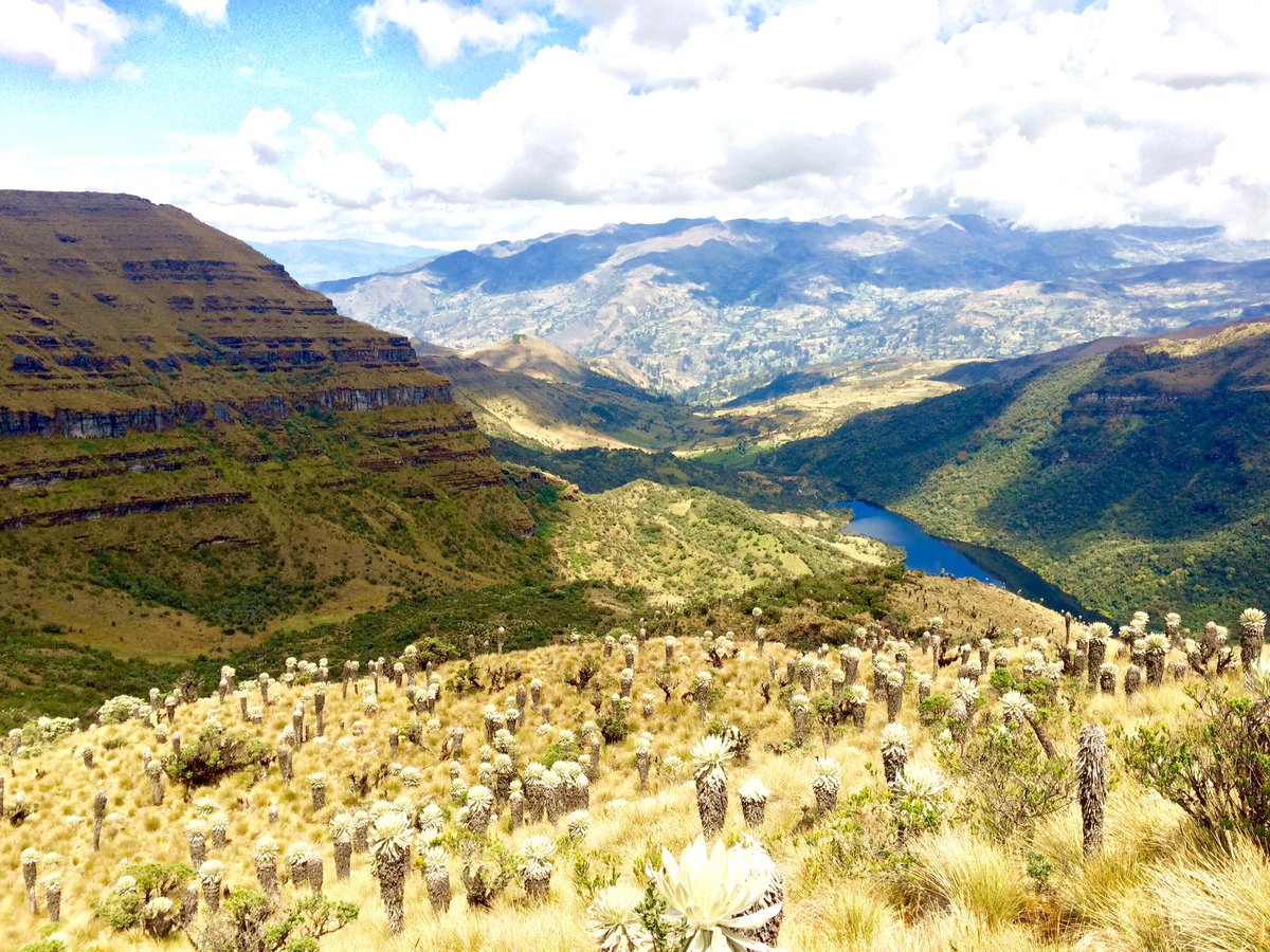 miltenz's tweet photo. Páramo de #oceta #Mongui #Boyaca catalogado uno de los más lindos del mundo!! @colombia_hist https://t.co/XnS6ZKU2Hy