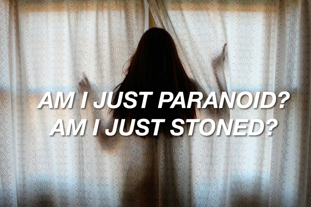 ALLCAPSLYRICS's tweet image. Basket Case // Green Day