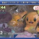 【悲報】デデンネがピカチュウの偽物に間違えられる!