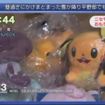 【悲報】デデンネがピカチュウの偽物に間違えられる!