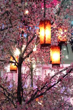 GreatOwl's tweet photo. No my friend,Darkness is not everywhere, 
here &amp; there I find faces illuminated from within;
Paper lanterns swaying among the trees.
~Borges https://t.co/6Yhv9V5g9F