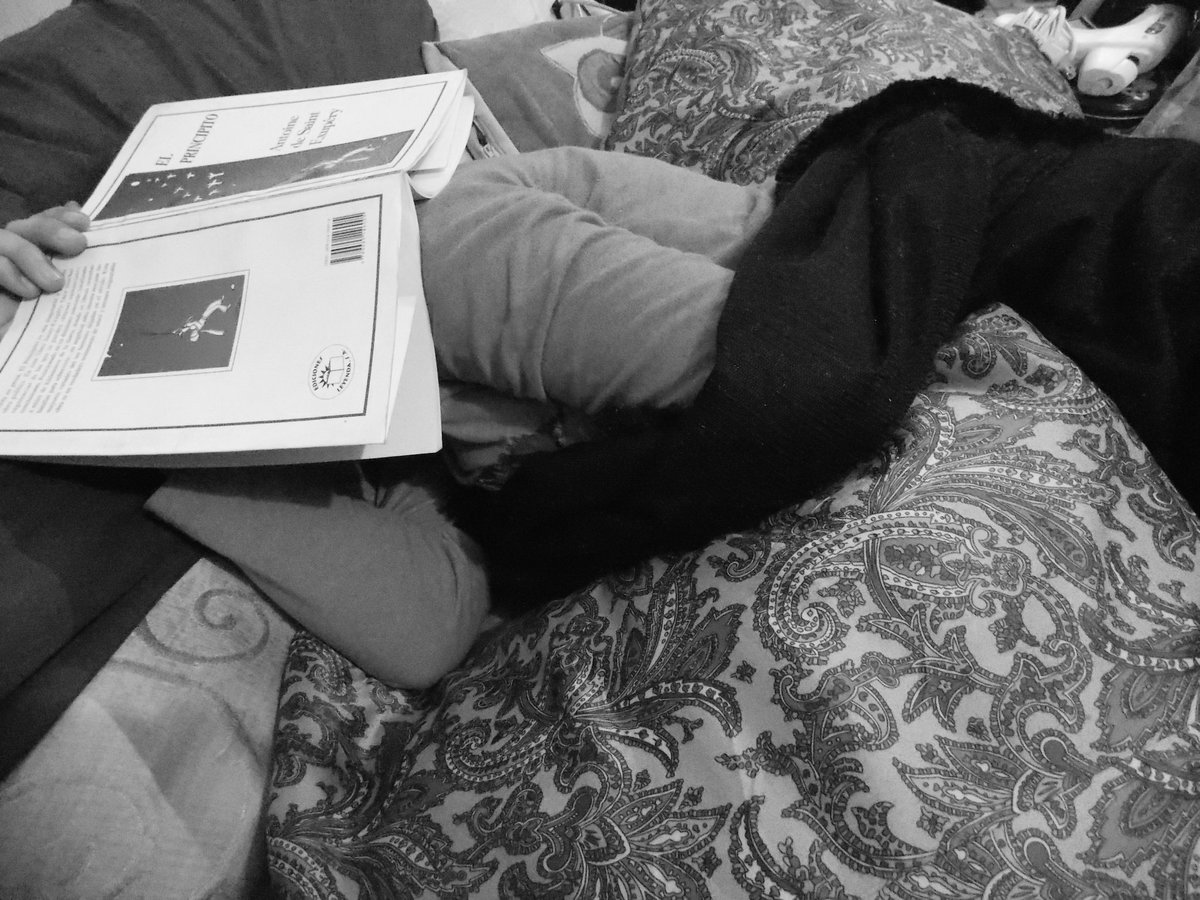 BrigadaMty's tweet photo. Dormir con un libro para tener dulces sueños. https://t.co/F5YcuvDsWG