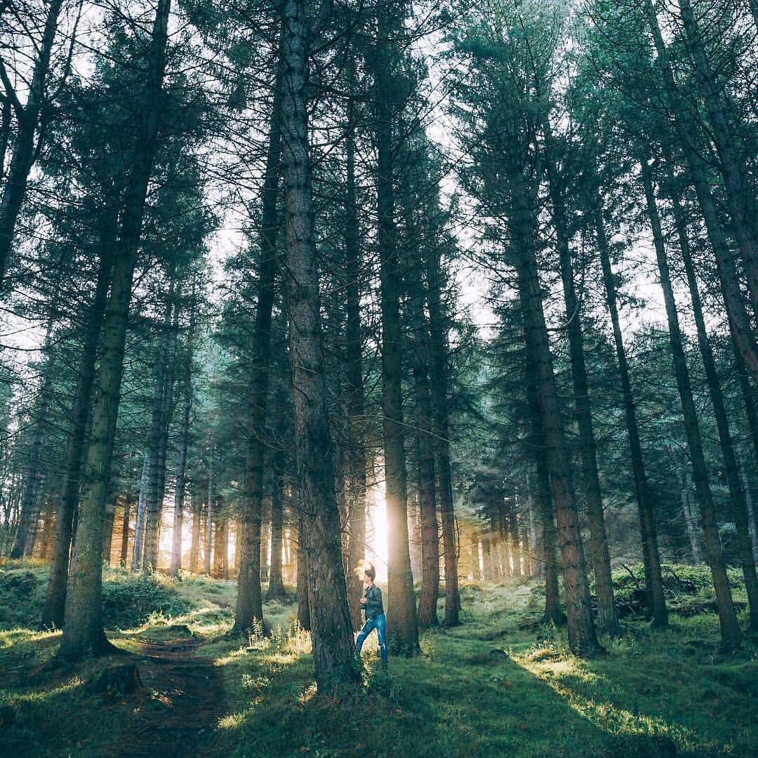 LonelyPlanet_IE's tweet photo. A Weekend Escape found in the Mountains of Dublin #LonelyPlanet_IE
https://t.co/fSfhs1vWxN https://t.co/G3ccRamdpk