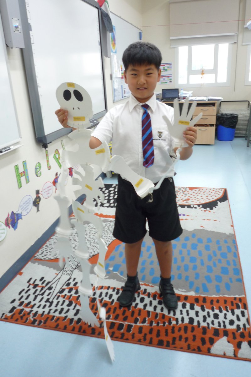 BCADyear4's tweet photo. Meet Fregley, #Y4Mara 's newest classmate. @BCADprepscience @BCADprep #KS2Science #BCAD_creativity #TakeAwayHmk https://t.co/5Z9M4EBOOP