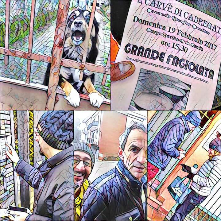 caprioandrea1's tweet photo. #cadregat2017 #fagiolata #viaspettiamo #19febbraio https://t.co/ujWMHR2Hzk