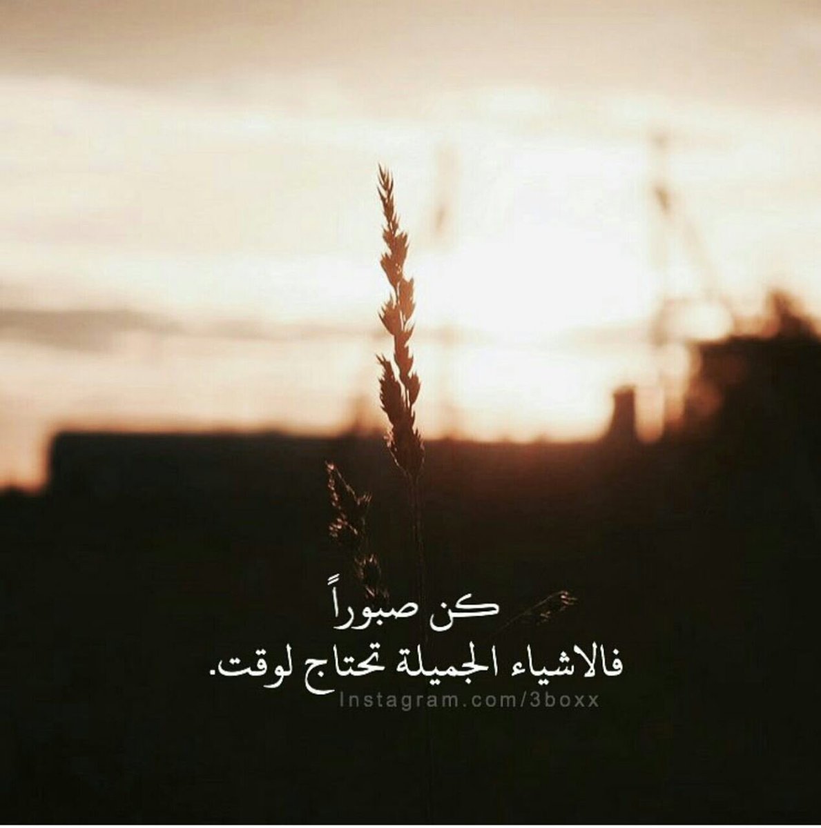 um_maryam_79's tweet photo. واكتفي بك يارب
أتعلم ماهي الثقه الگبرى ؟ 
قَول رَبي :"ولسوف يعطيك ربك فترضى" هو لن يعطيگ فقط؛هو أيضاً وعدگ "بالرضا 
#غرد_لتثاب 
#همم_داعيات https://t.co/eo3wuZWKou