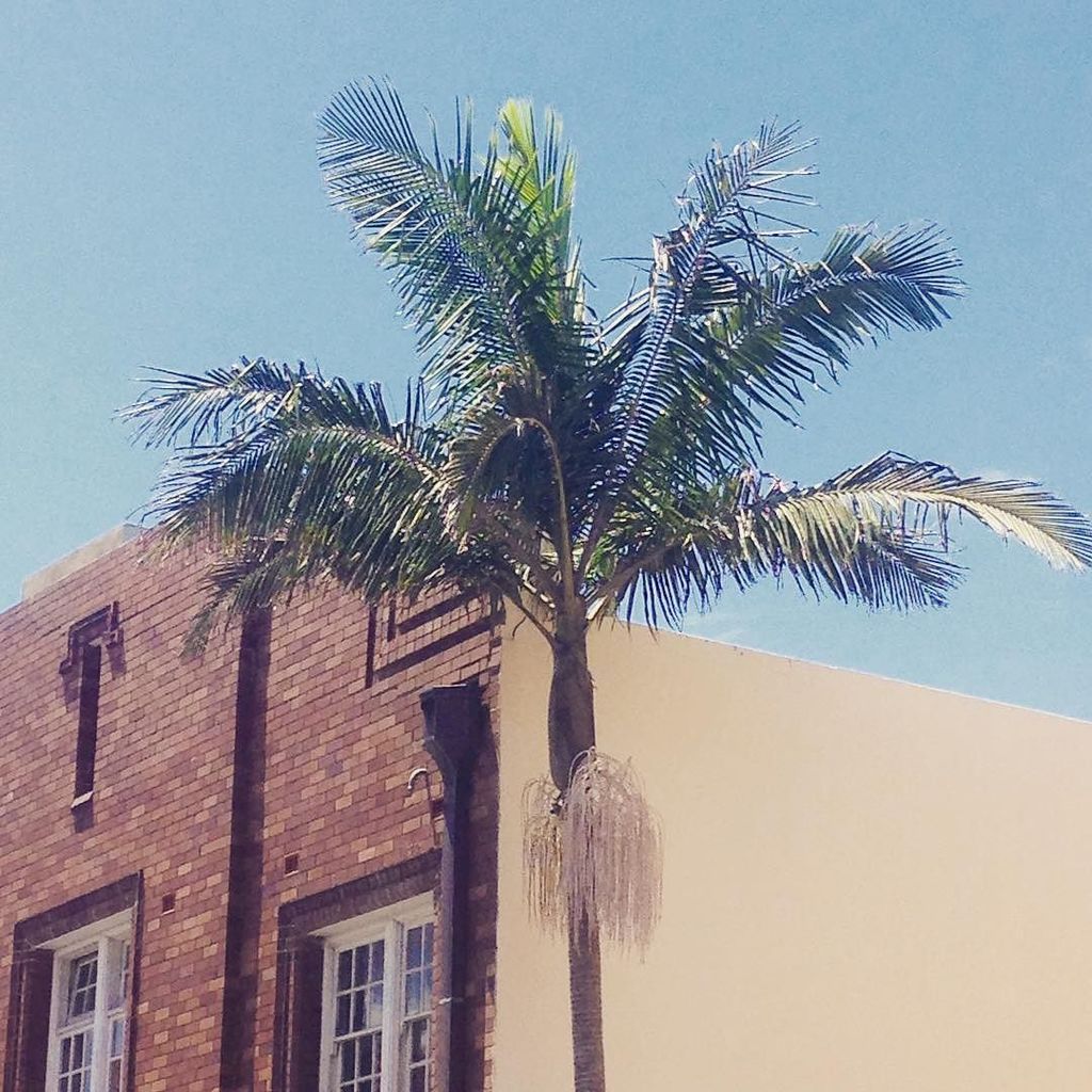 SMorris_Photo's tweet photo. Beach Day II
#australianlandscape #coollocations #beachlandscape #urbanlanscape #landscap… https://t.co/mUljmRKkh9 https://t.co/nC734G5dPp