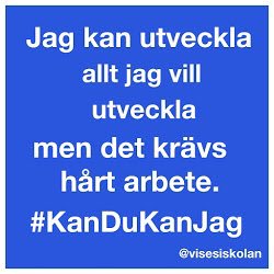 Malin Larsson tweet media