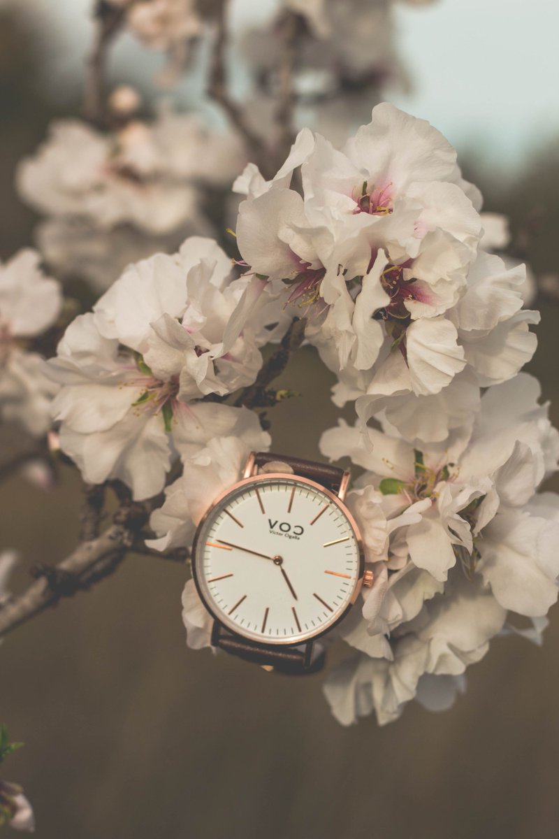 juantfilms's tweet photo. Nos encantan los relojes de @VocWatches 😍 gracias a ellos nos han dado un descuento de un 10% para vuestras compras. 
Código: #Juant https://t.co/zRQ9ithOol