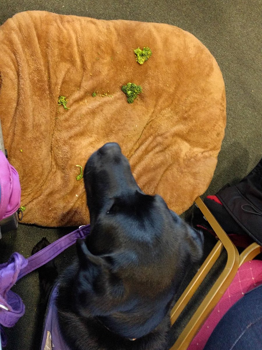 dreamsandchange's tweet photo. #communitycamp. Zig enjoy playing why mummy enjoying the talk about playing is risk https://t.co/G9z8fKGhyo