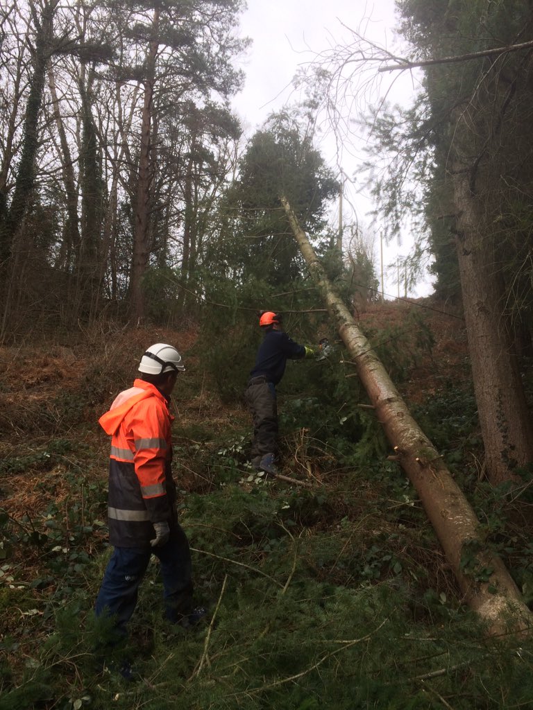JCl_HUGUENY's tweet image. Bravo aux équipes d'@enedis_auvergne sur le pont pour réparer les lignes endommagées par la tempête #Leiv #engagement #servicepublic