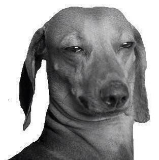 "whats up"

"the sky"