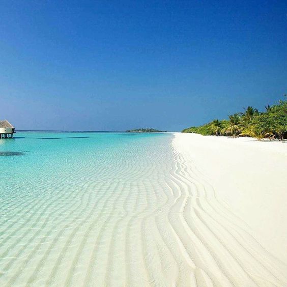 discovermdv's tweet photo. Exciting new offers for all markets for February-March. For enquirers write to us at sales@thediscovermaldives.com https://t.co/GvfEkFAOHk