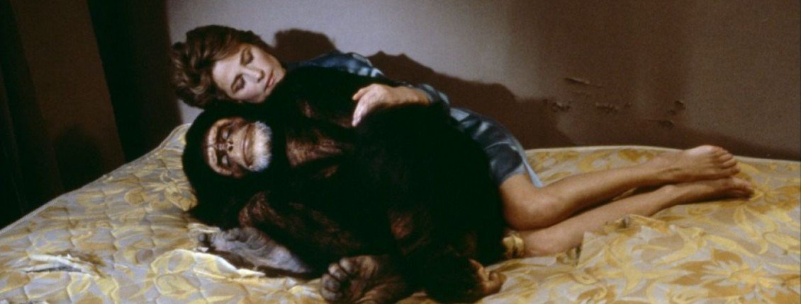 Happy Birthday Charlotte Rampling.....
WE ARE ALL THIS MONKEY 