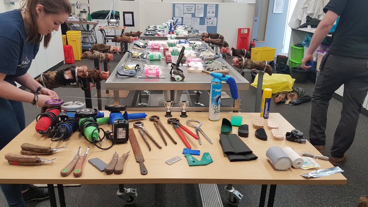 Tamar_Hoofcare's tweet image. Fantastic day yesterday teaching functional trimming/blocking/antatony to vet students, with @SaraPedersen3 &amp;amp; @JKirbyFT   #FAVS2017