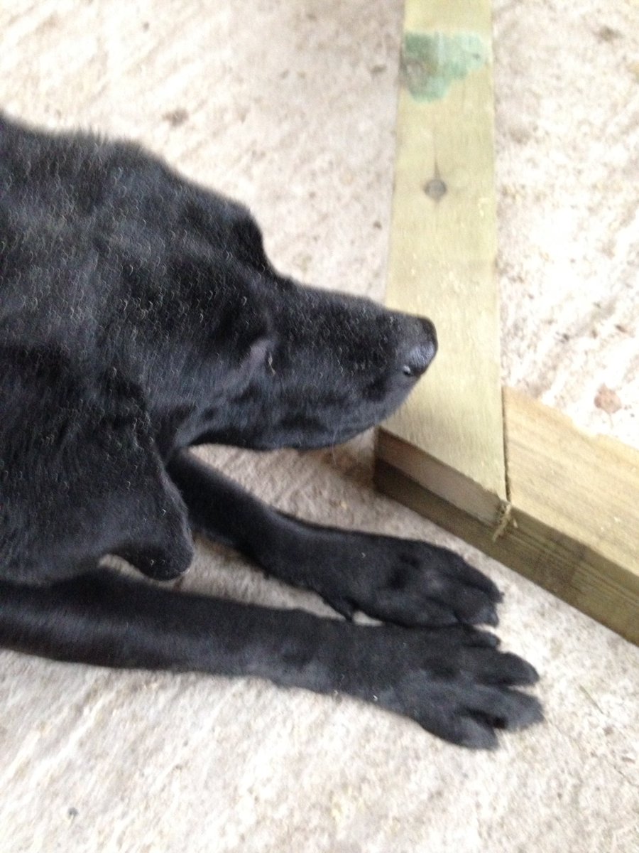 TheShedCompany tweet media