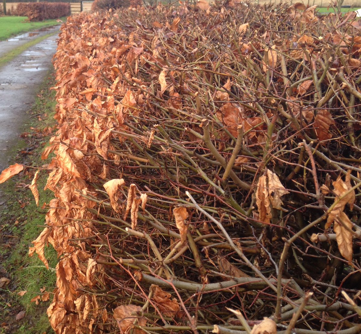 Property Maintenance tweet media