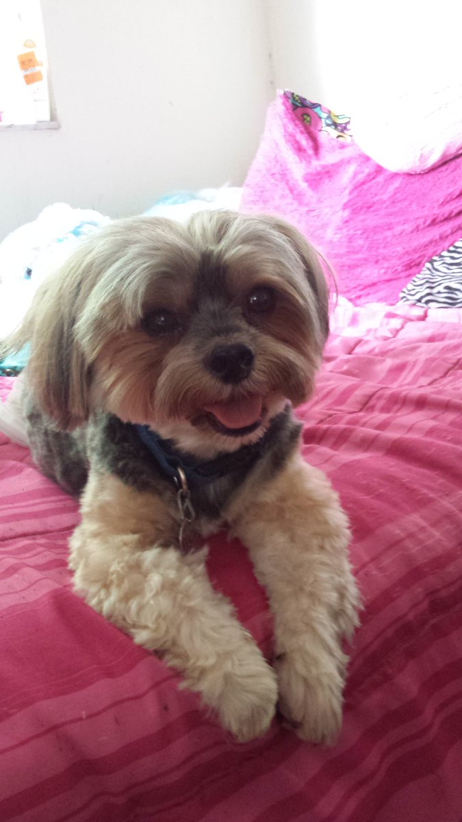 <a href="/kevinthecutest/">Kevin</a> <a href="/RollinsIsWWE/">Seth Rollins</a> Hi Kevin, I'm Prince Zackery,  happy to meet you!
