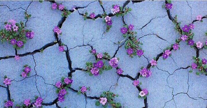 omer2000saif2's tweet photo. لا تيأس ولاتحزن فَالله لن ينسىٰ نصيبكَ من الحياة🌠.
#كوب_لشخصين 
#عناقيد_حرف 
#رباب_الكلم 
#أقصي_المحاني 
#يخبرني_المساء 
#قهوة_السابعة https://t.co/K6kT44MPOO