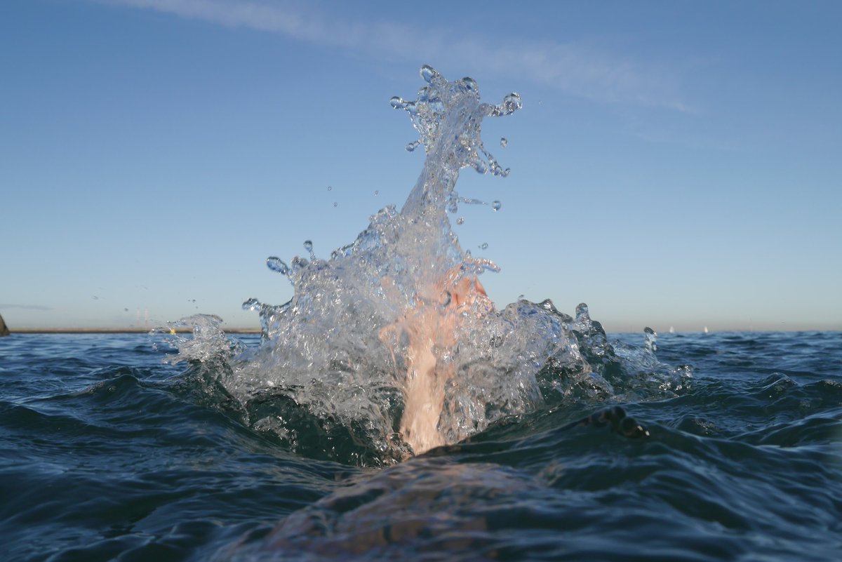 AtSwimBook's tweet photo. 1st of Feb, 1st of Spring.
5th of Feb, 1st of Summer. https://t.co/in5vrRhk6b