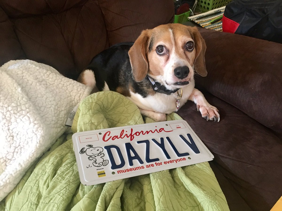 metcalfedarlene's tweet photo. #snoopyplate My Daisy Love supports museums! https://t.co/BjToZ22e1B