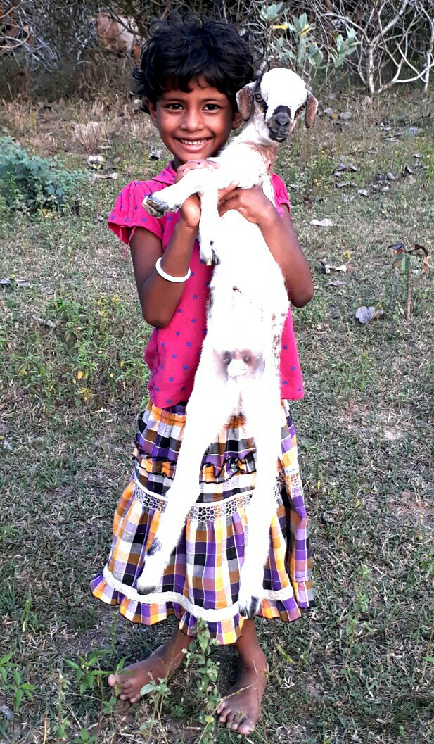 winds_of_travel's tweet image. "In our self-complicated lives,
We must remind ourselves,
Life is simple,
Smile"

#windsoftravel #travelwriter