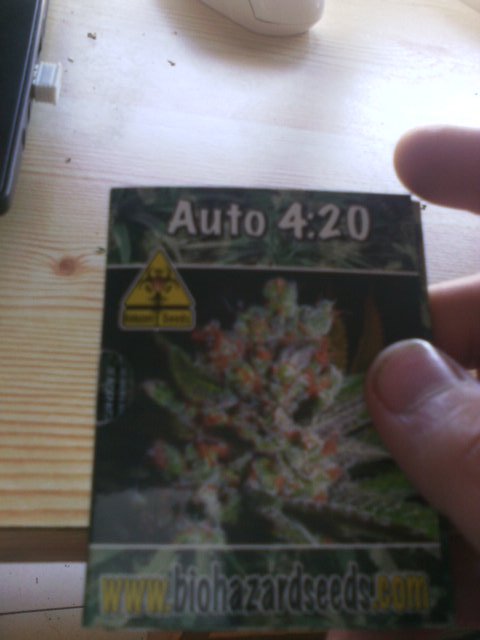Solo_Weed's tweet image. A ver que tal se portan!! #Auto4:20 @info_seeds