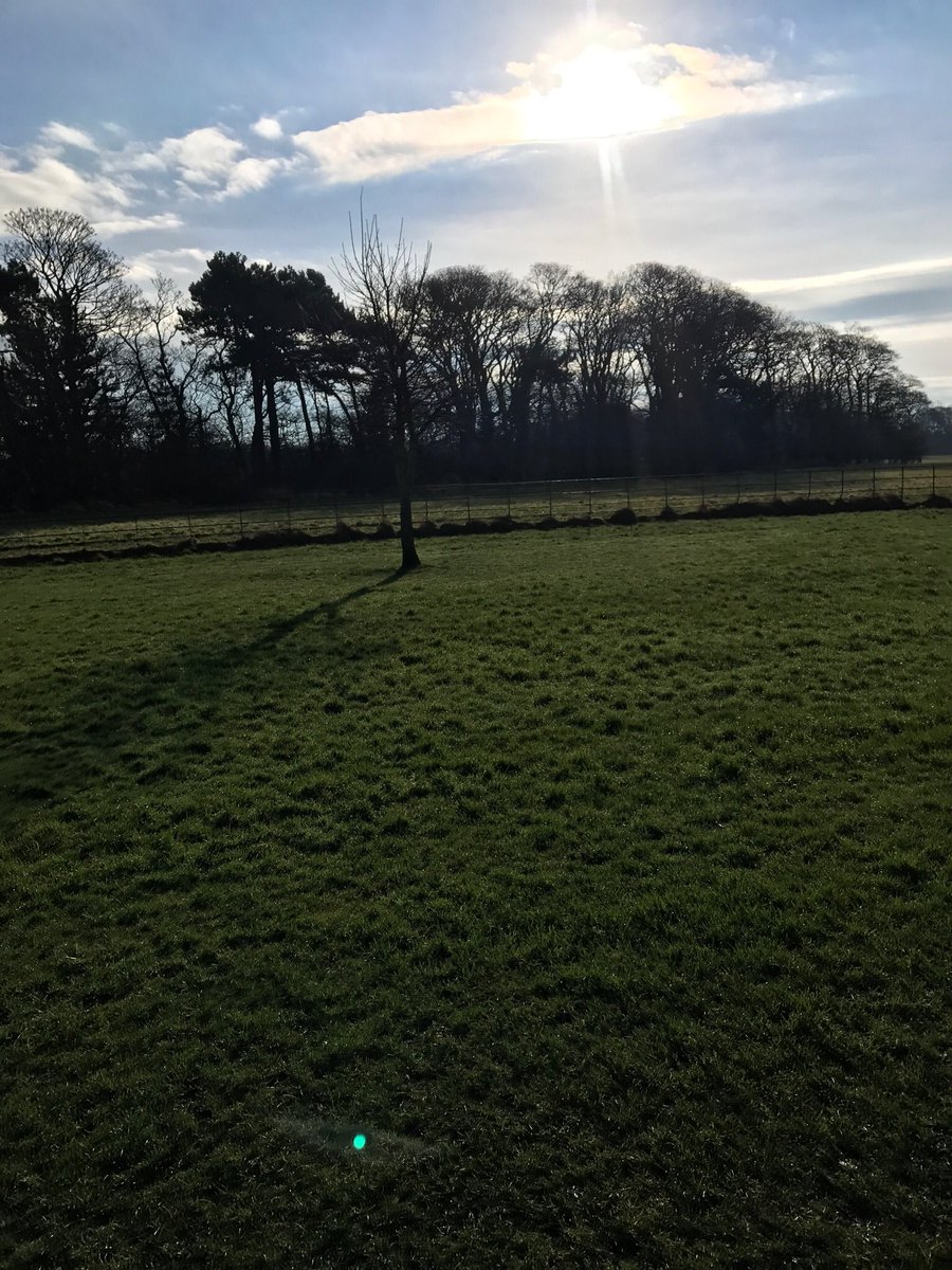 Mummymcxxx's tweet photo. Nice little walk through croxteth country park this morning 😎🌞 https://t.co/QxFKiQOCwb