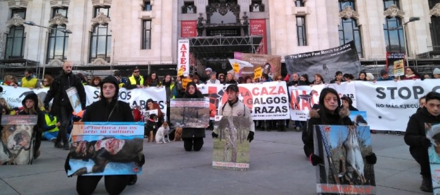 A3Noticias's tweet photo. VÍDEO ▶ Cientos de personas sacan sus galgos a la calle para protestar contra la caza con perros https://t.co/H3XeN8HhMJ https://t.co/0GWQLrN85t