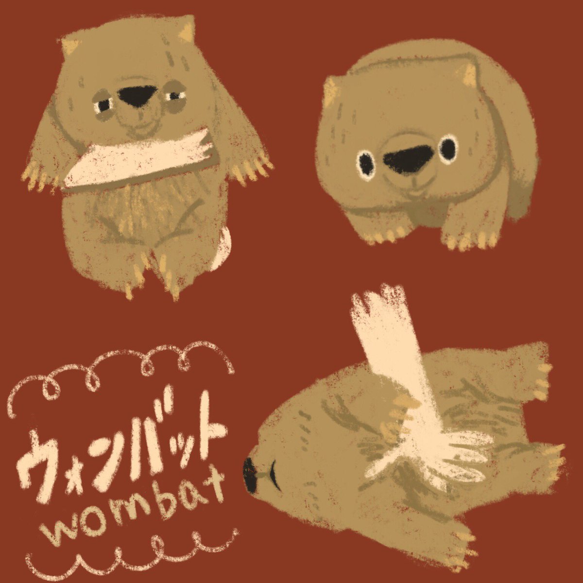 Jerky 甘えてるウォンバットは何回見てもかわいいなあ Illust Illustration Art Vombatidae Wombat イラスト ウォンバット