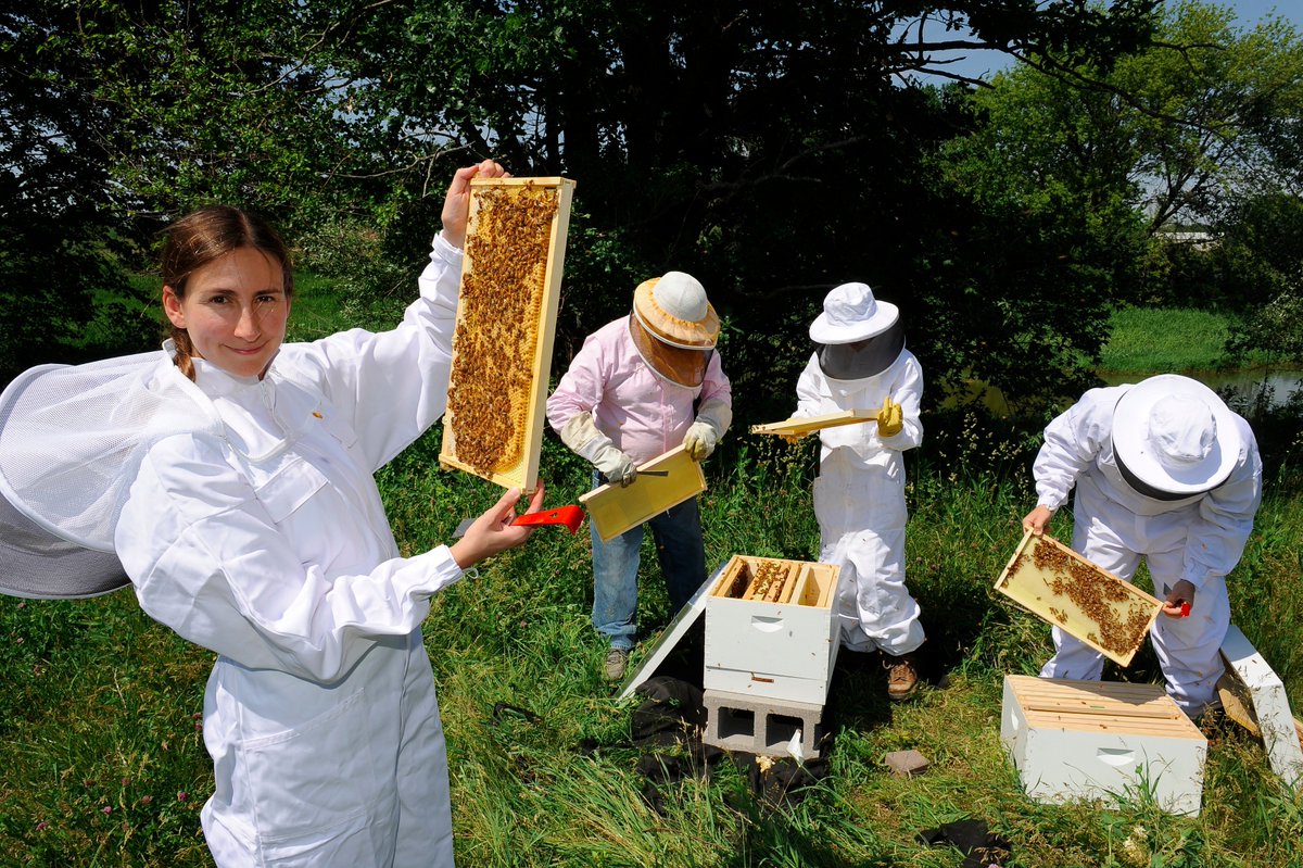 Amy_L_Toth's tweet photo. As an #actuallivingscientist, I always make sure to #DressLikeAWoman while doing field work with bees. https://t.co/HmreCI6p0c