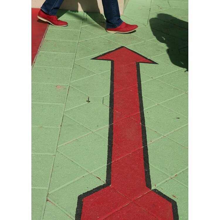 Talk about timing. Spotted this  on the curb in Palm Beach during a walk around with students during FOTOfusion 2017 festival.