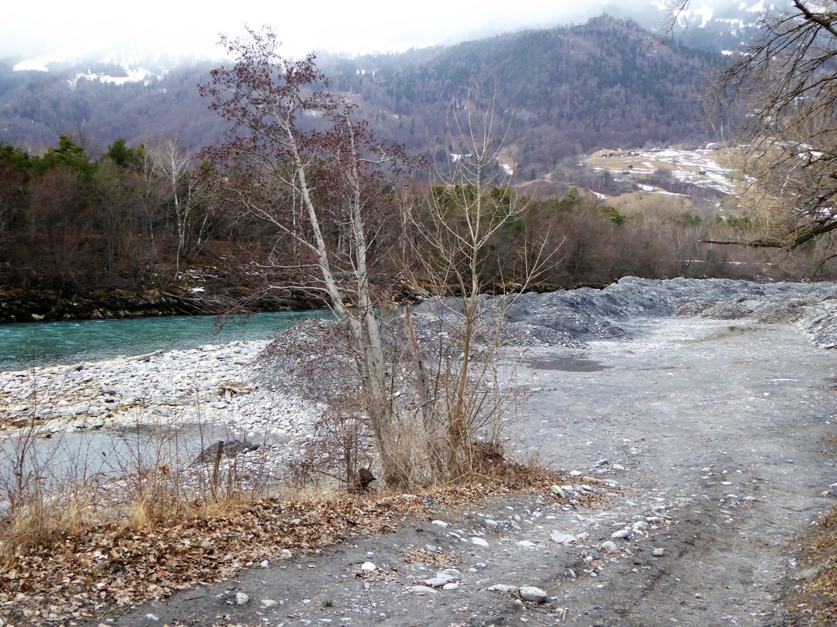 AloisHafner's tweet photo. Zizers, Graubünden (CH), Versuch Geschieberückgabe Rhein #zizers #rhein #geschiebe https://t.co/TNTnh6yAgu