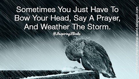 bjaucoin's tweet photo. In 3 words I can sum up everything I have learned about life: it goes on.  RF #Mindfulness https://t.co/RMdr8adWP3